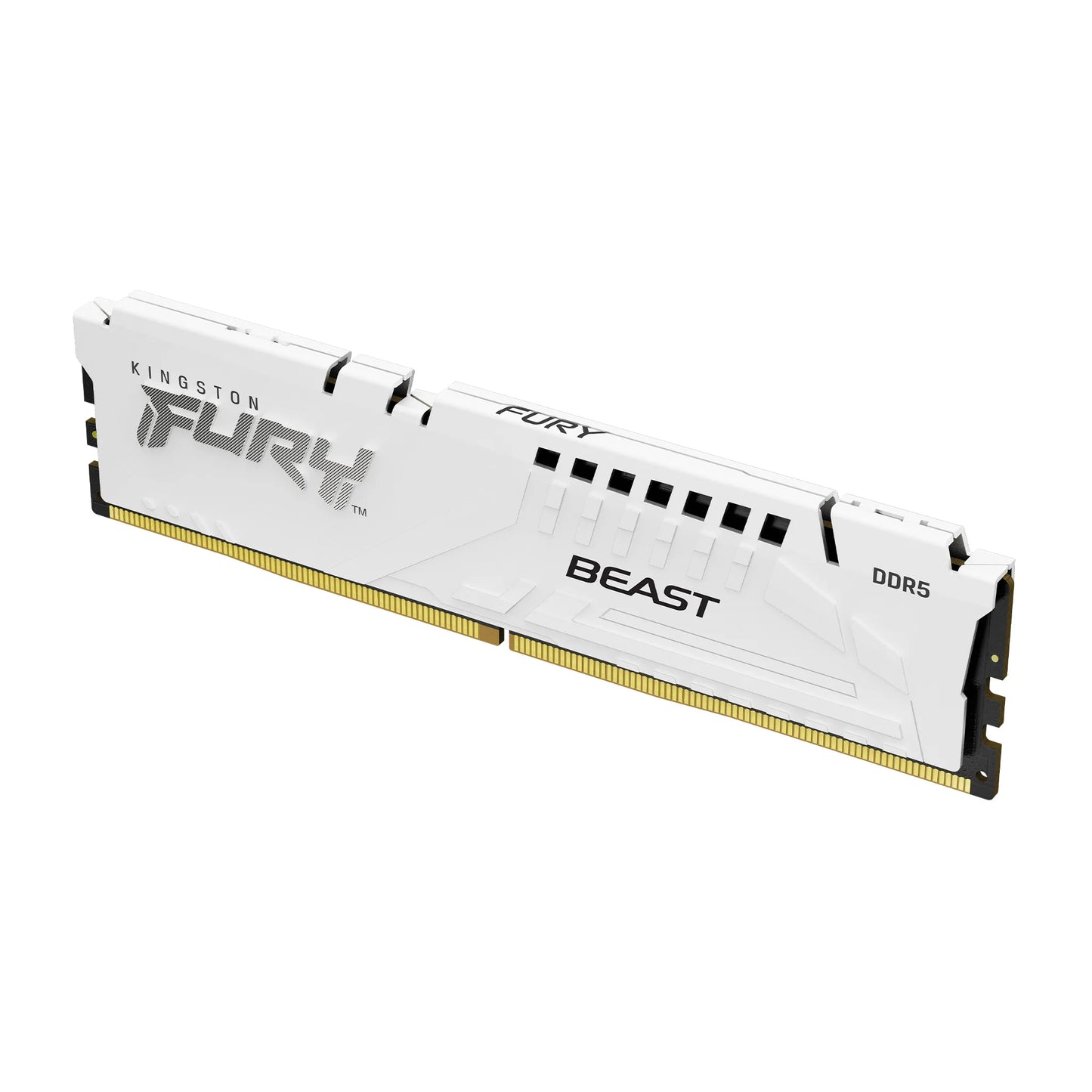 Kingston FURY Beast DDR5 16GB RAM