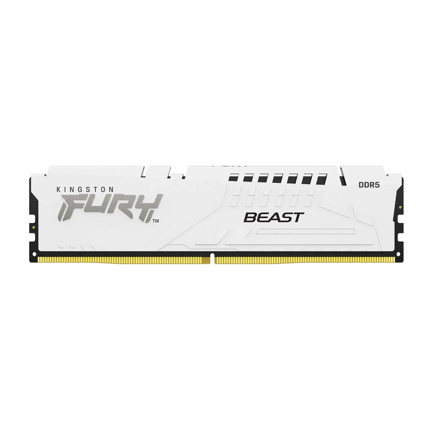 Kingston FURY Beast DDR5 16GB RAM